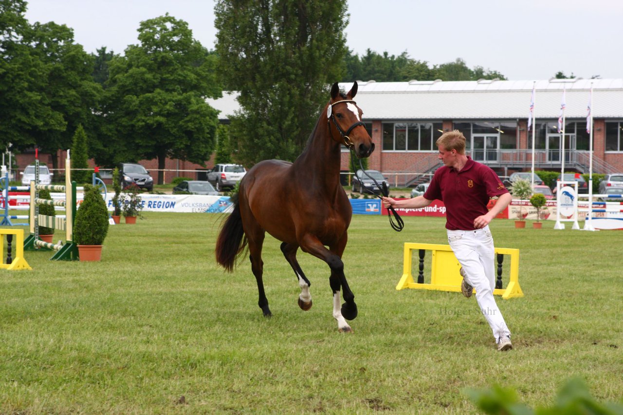 Bild 126 - Elmshorn am 9.6.10